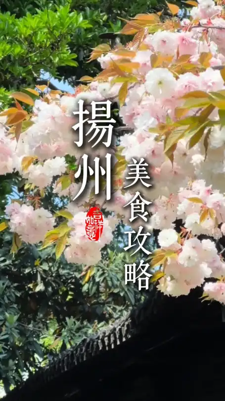 烟火藏古韵！千年淮扬风味，读懂扬州专属特色美食