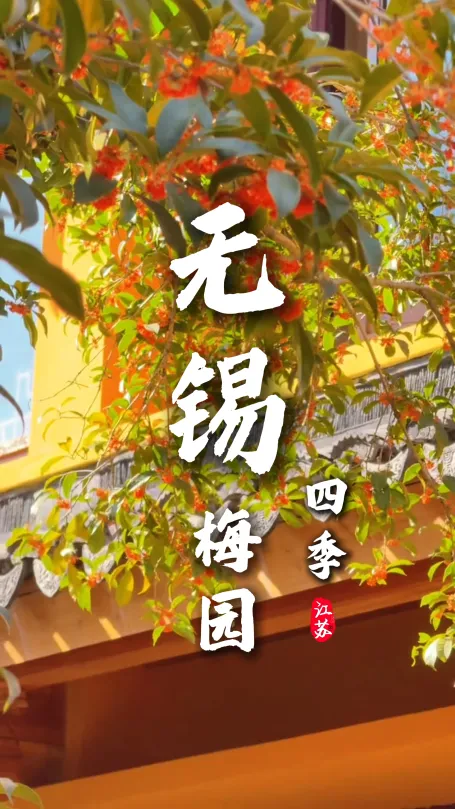 四时皆景，赏遍无锡荣氏梅园四季风华