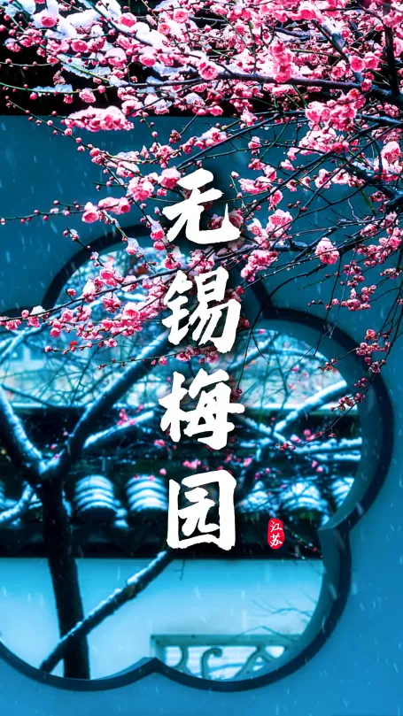 江南赏梅首选是哪里？无锡梅园全方位游玩攻略