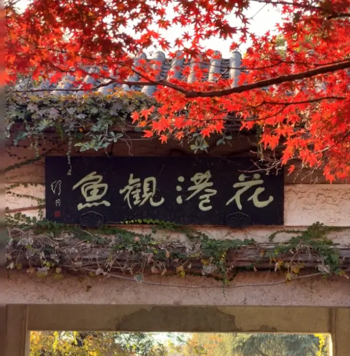 花港观鱼