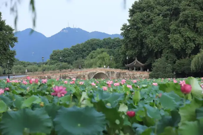西湖风景