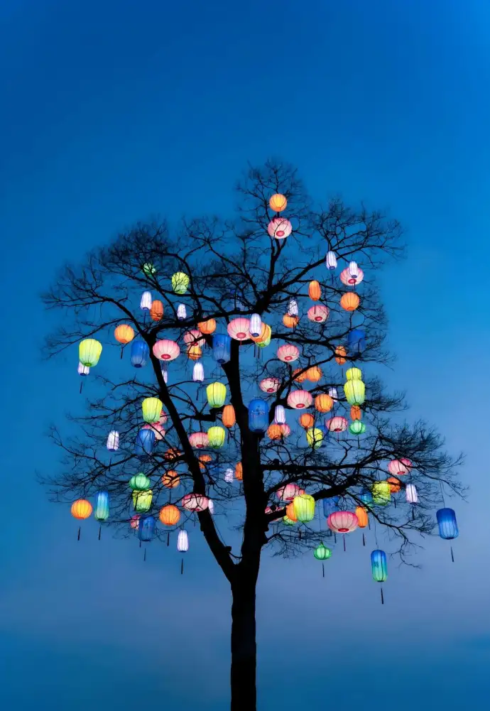 西溪湿地新春灯会