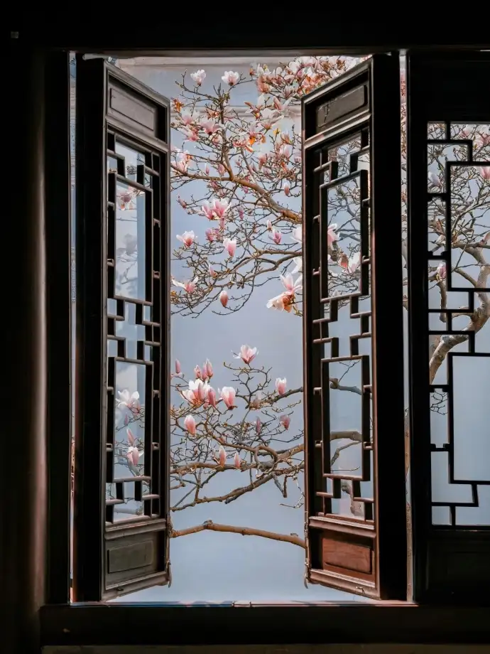 海棠春坞花窗
