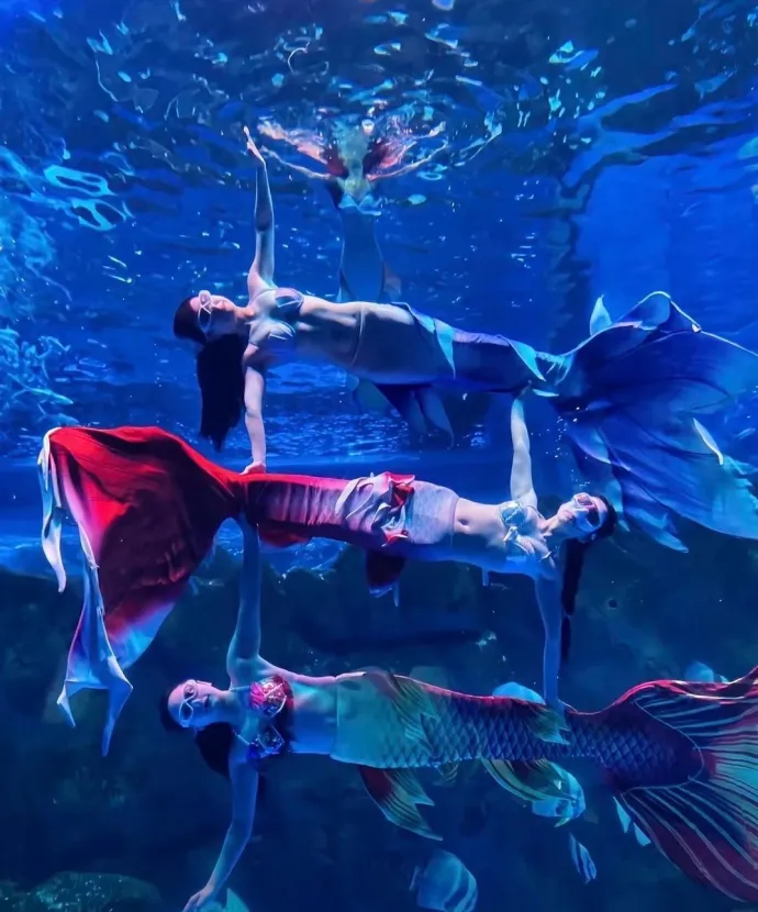 龙宫大白鲸嬉水世界