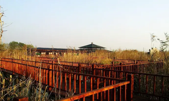 湿地栈道