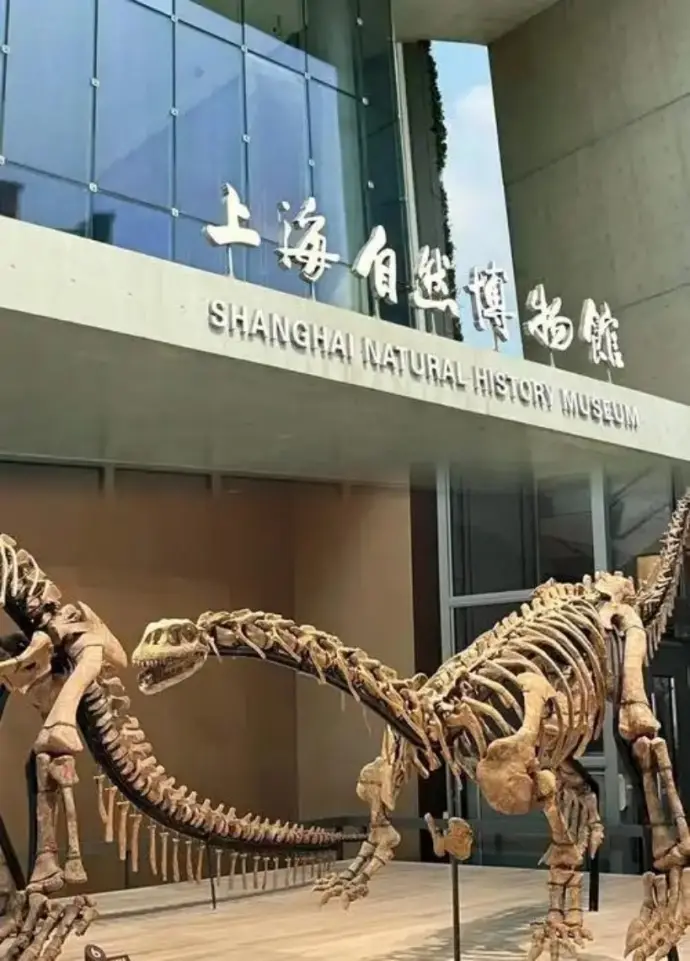 上海自然博物馆