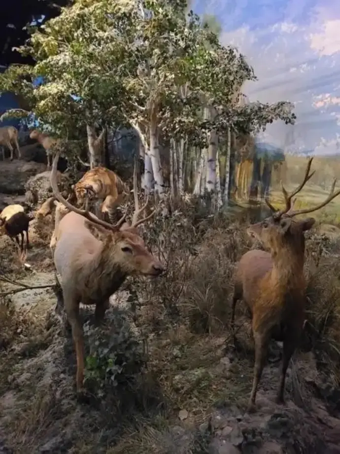 上海科技馆一楼