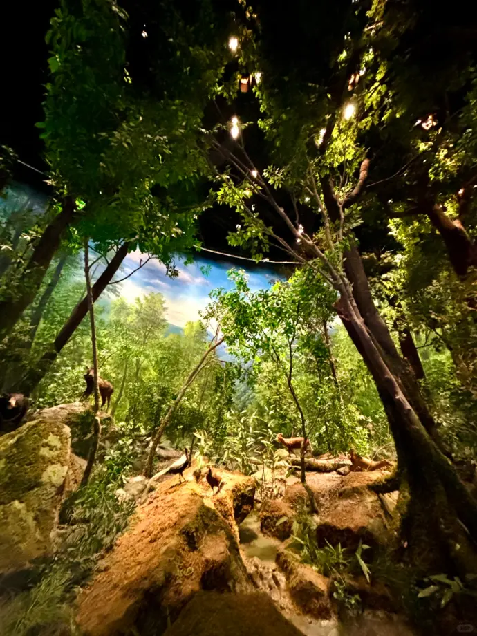 浙江自然博物院