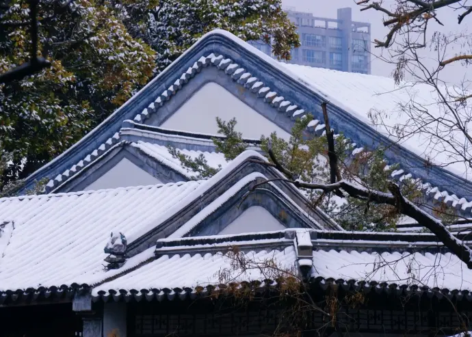 南京总统府雪景